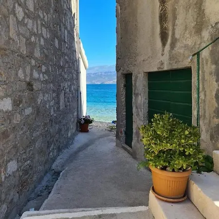 Apartment Zana